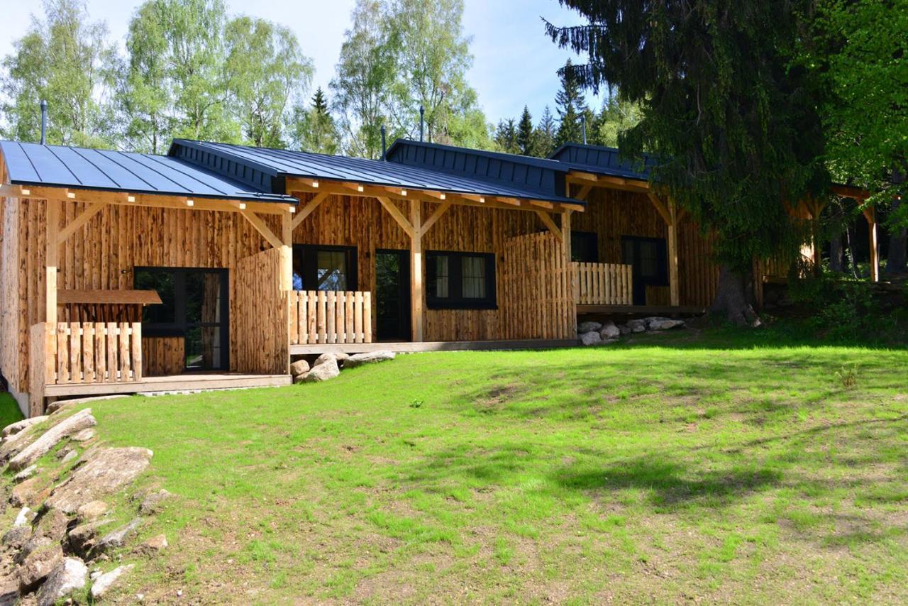 Montanie Resort Desna  Exterior photo