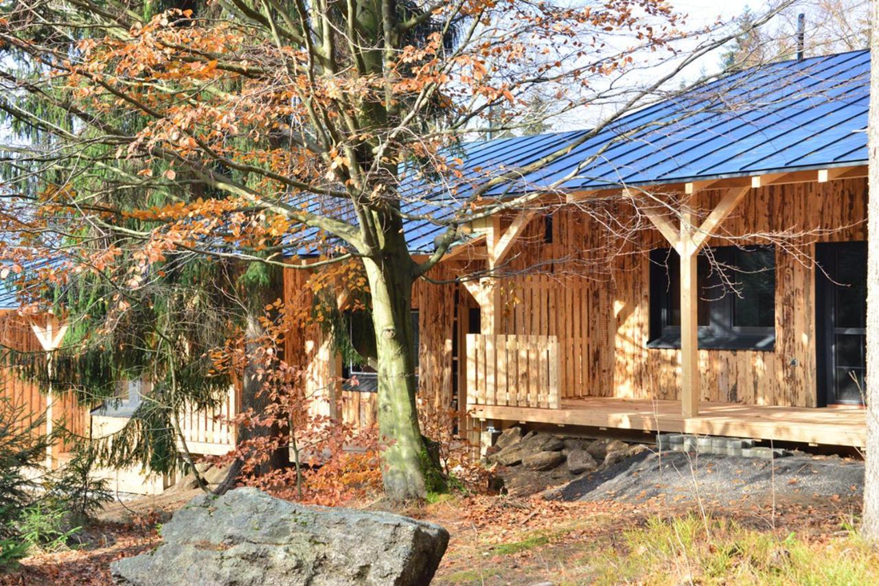 Montanie Resort Desna  Exterior photo