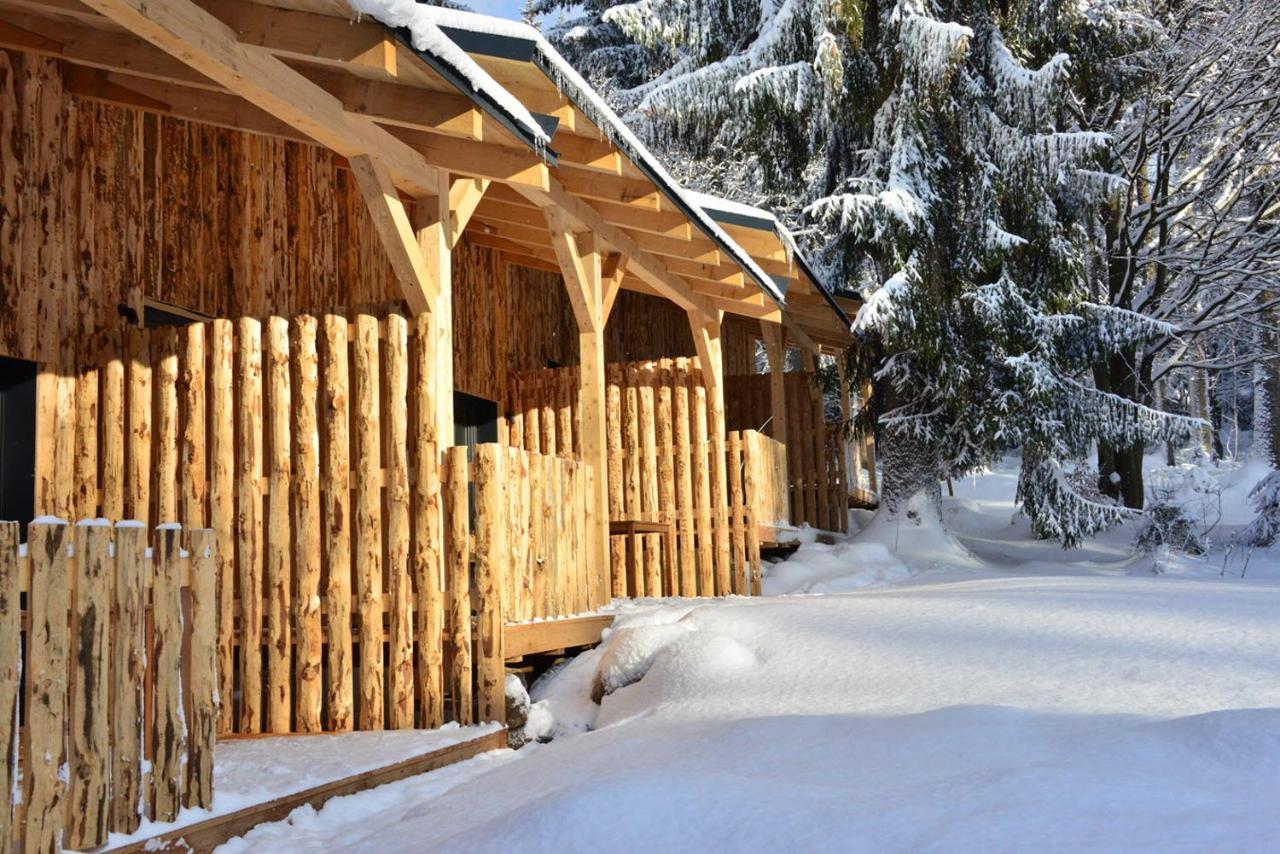 Montanie Resort Desna  Exterior photo